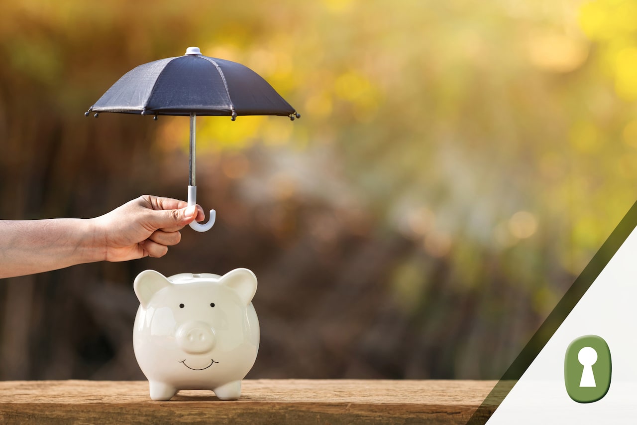 Explore the basic elements of asset protection and discover effective strategies for safeguarding your wealth from lawsuits, creditors, and more.